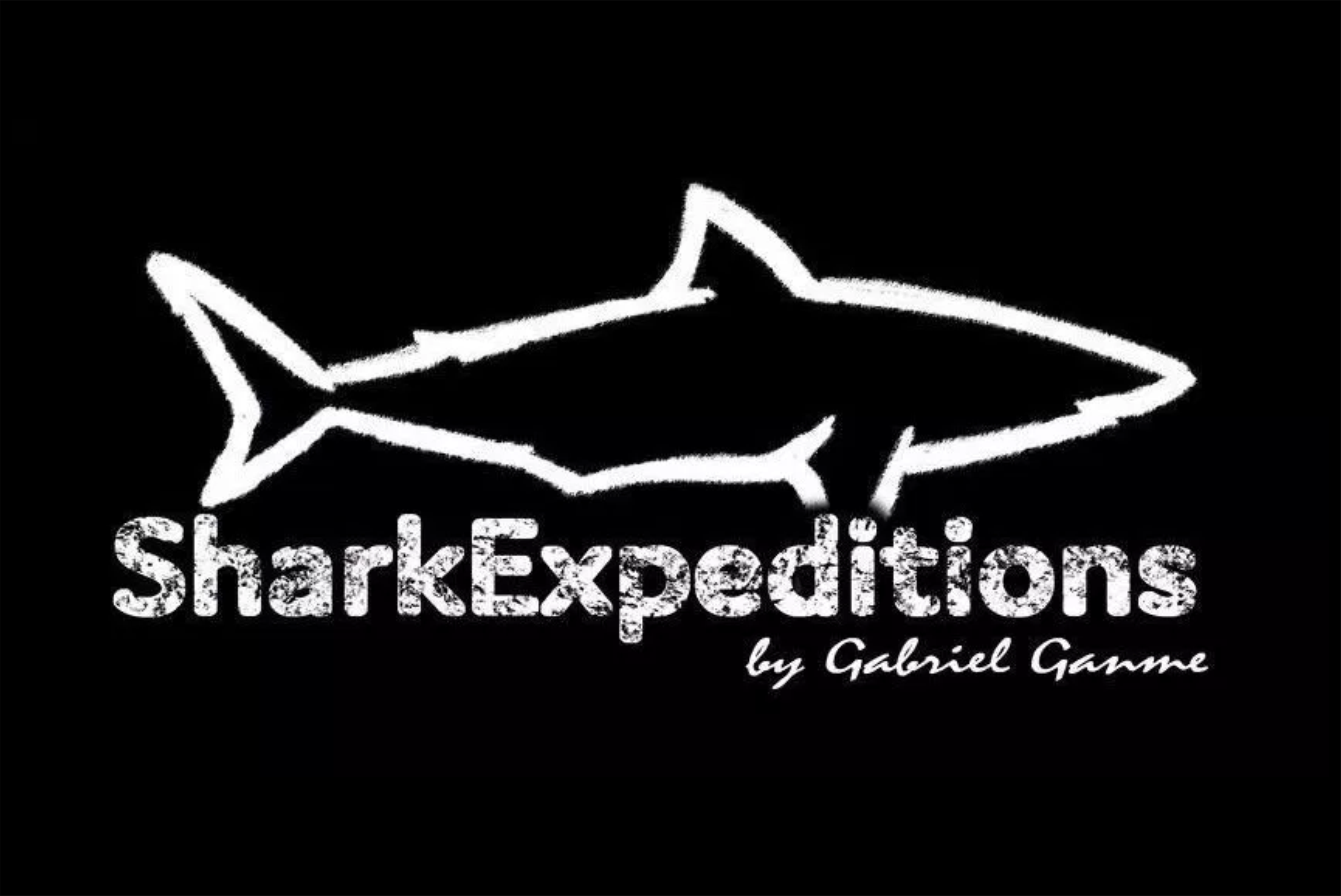 Gabriel Ganme – Shark Expeditions