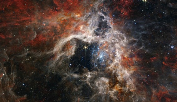 ‘Tarântula cósmica’: James Webb flagra milhares de estrelas nunca antes vistas em ‘berçário’ celeste